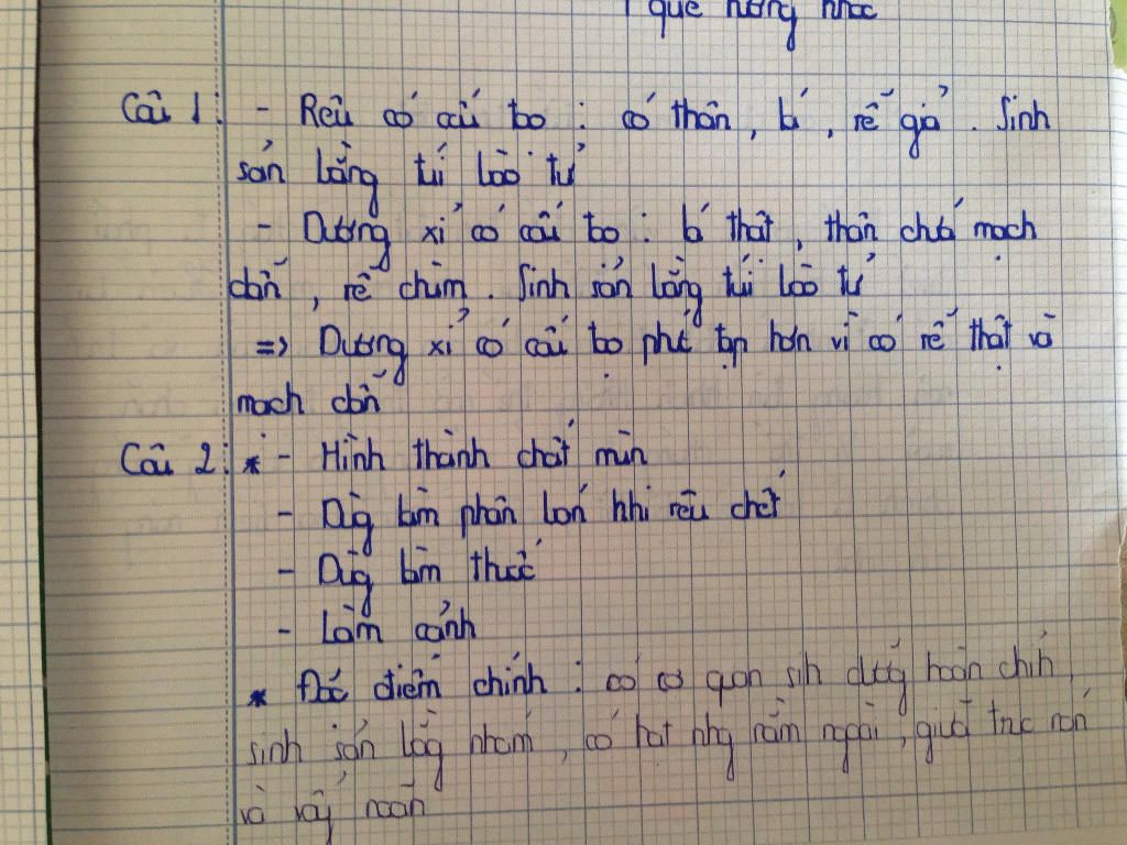 1-so-sanh-reu-voi-duong-si-ve-cau-tao-va-cach-sinh-san-tu-do-rut-ra-ket-luan-2-vai-tro-cua-reu-n