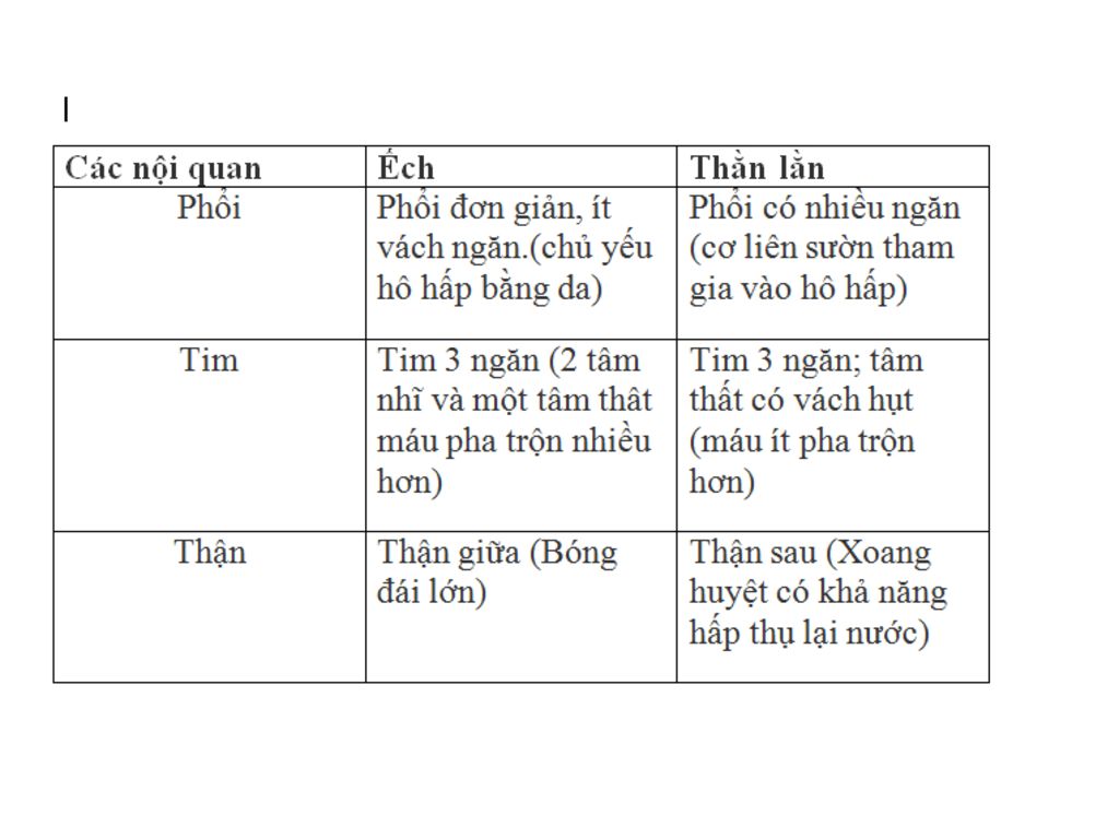 1-tai-sao-noi-vai-tro-tieu-diet-sau-bo-co-hai-cua-luong-cu-co-gia-tri-bo-sung-cho-hoat-dong-cua