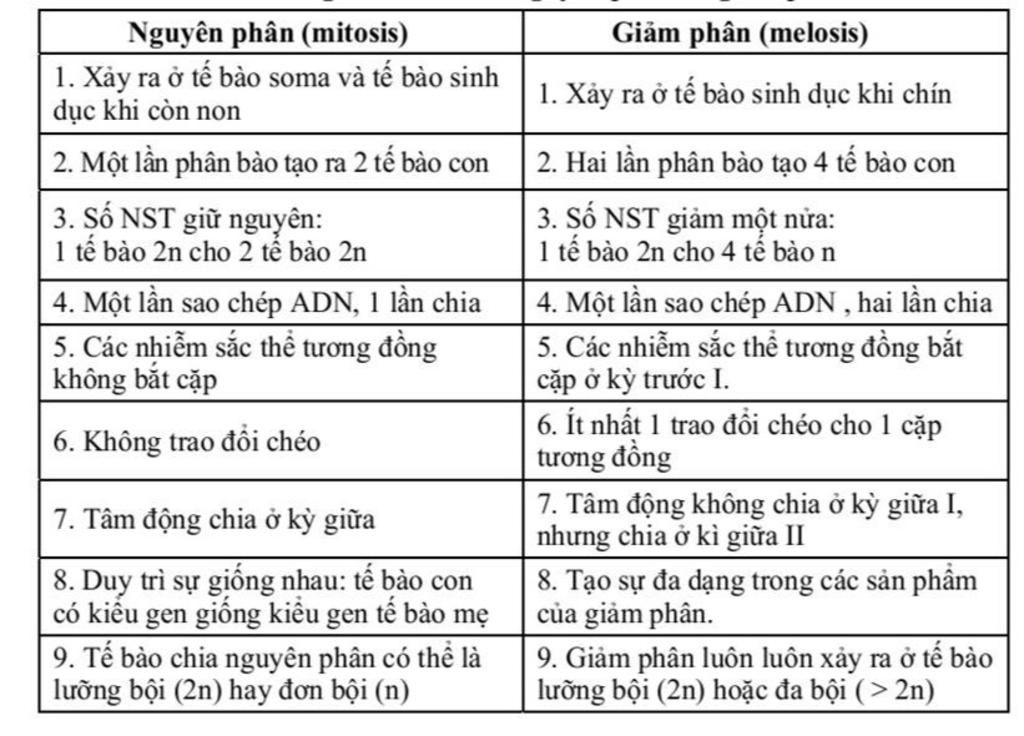 1-tai-sao-nst-tuong-dong-lai-bat-doi-voi-nhau-trong-ki-dau-1-neu-nst-ko-bat-doi-voi-nhau-thi-die