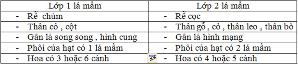 1-tim-diem-giong-nhau-va-khac-nhau-giua-hat-cay-1-la-mam-va-2-la-mam-2-neu-thi-nghiem-hat-nay-ma