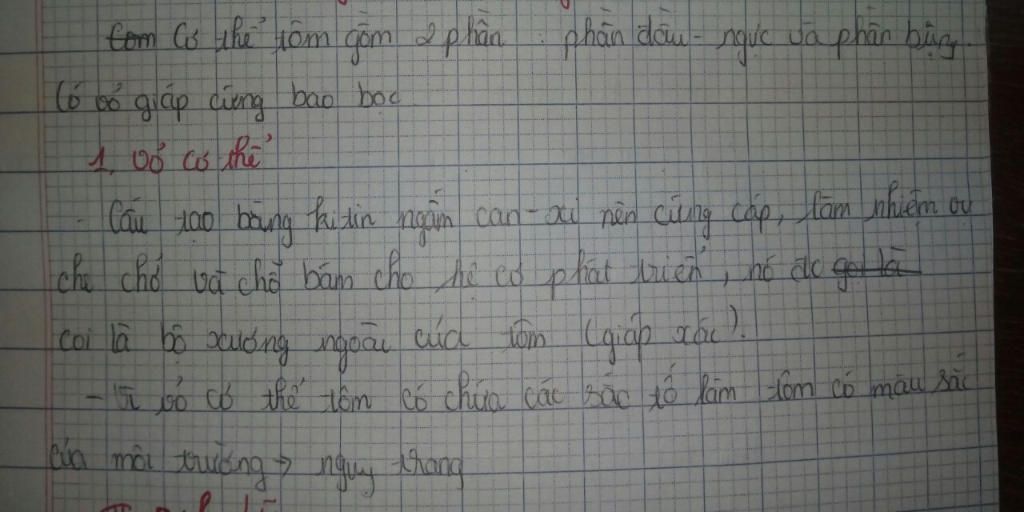1-trinh-bay-cau-tao-ngoai-tom-song-vi-sao-noi-vo-tom-la-bo-uong-ngoai-cua-tom-2-tom-song-thuoc-l