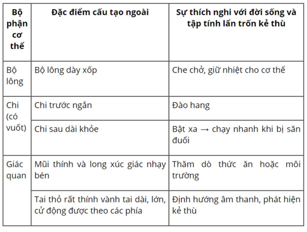 1-trinh-bay-dac-diem-cau-tao-ngoai-cua-tho-thik-nghi-vs-tap-tinh-lan-tron-ke-thu-2-tai-sao-lai-e