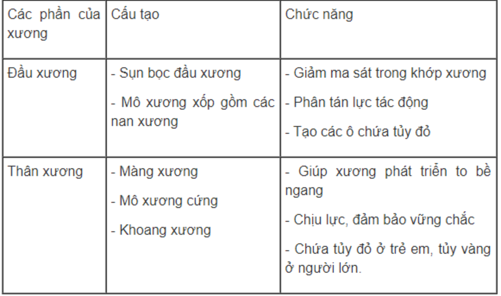 1-trinh-bay-dac-diem-cau-tao-va-chuc-nang-cua-uong-dai-2-neu-dac-diem-cau-tao-cua-bap-co-phu-hop