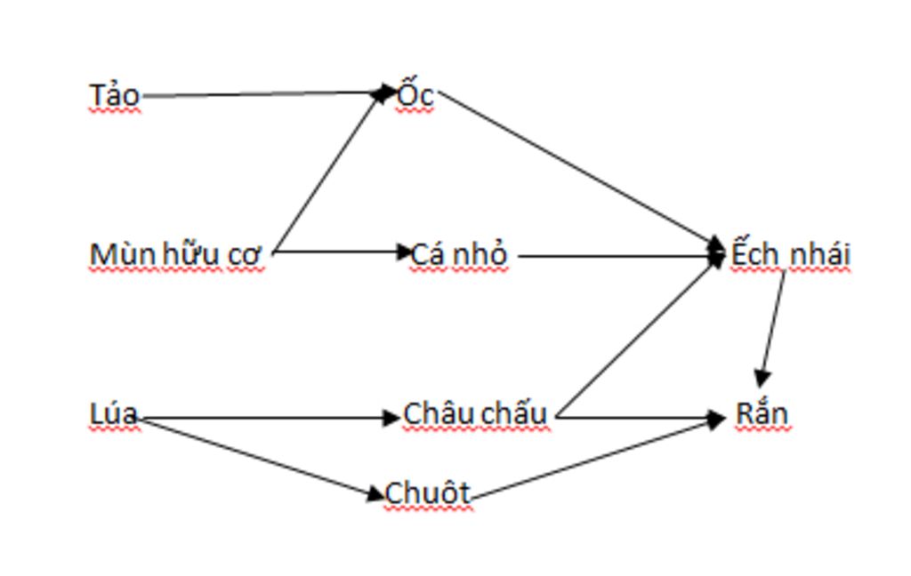 1-tu-chon-1-he-sinh-thai-o-dia-phuong-va-ve-luoi-thuc-an-hoan-chinh-2-neu-vai-tro-cua-hoc-sinh-g