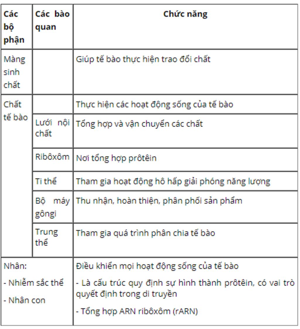 1-vai-tro-cua-con-nguoi-trong-tu-nhien-2-cau-tao-va-truc-nang-cac-thanh-phan-trong-te-bao-3-cau