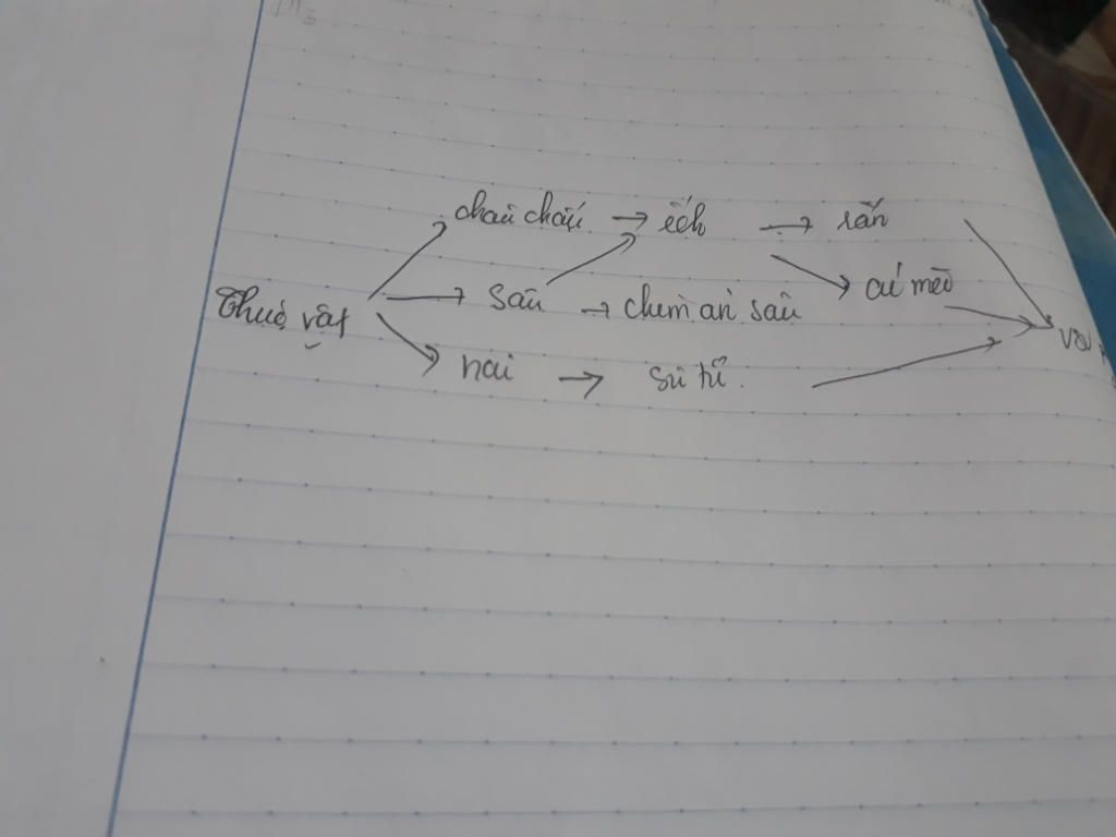 1-vai-tro-cua-tham-thuc-vat-2-cho-mot-luoi-thuc-an-va-chi-ra-mat-ich-chung