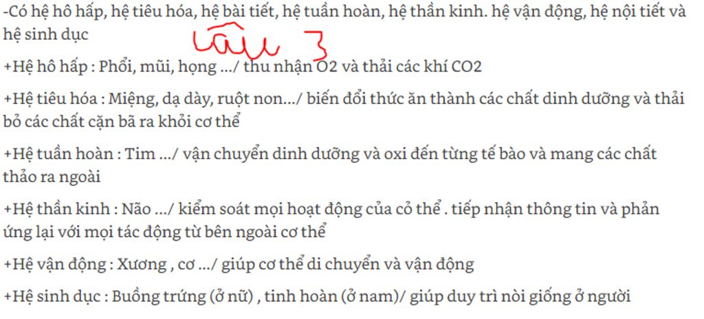 1-vi-sao-duong-dan-khi-co-chuc-nang-lam-am-lam-am-va-loc-sach-ko-khi-truoc-khi-di-vao-phoi-nhung