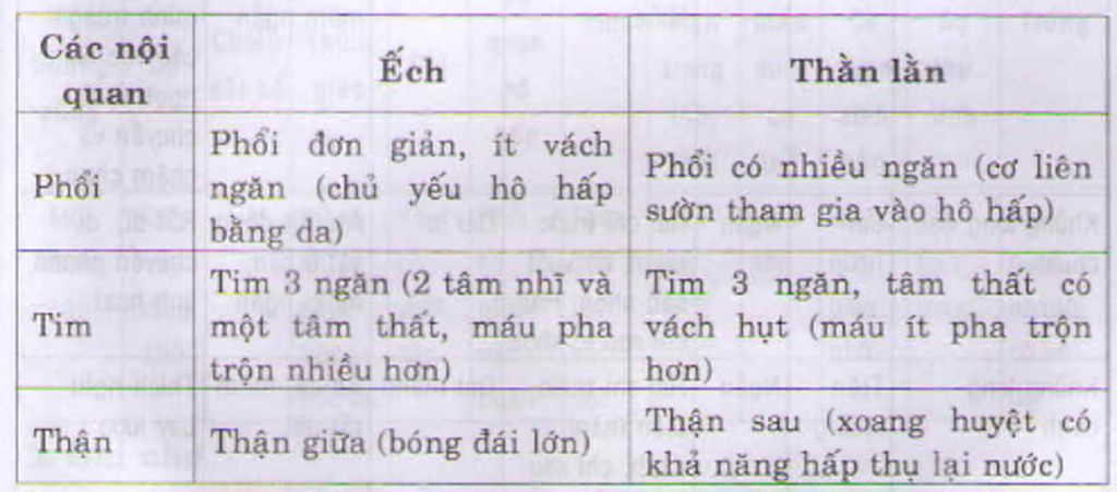 1-vi-sao-ech-song-gan-bo-nuoc-hoat-dong-vao-ban-dem-2-tai-sao-noi-vai-tro-tieu-diet-sau-bo-co-ha