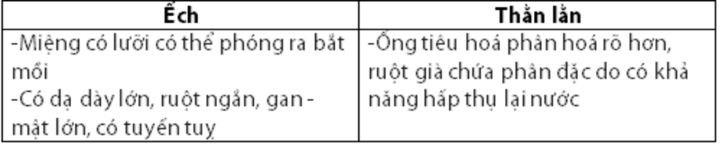 1hay-cho-biet-than-lan-co-nhung-he-co-quan-nao-ke-ra-2-neu-dac-diem-he-than-kinh-va-giac-quan-cu