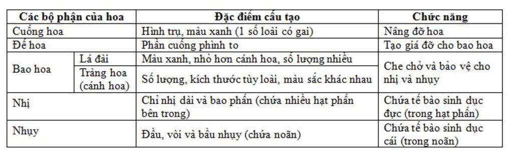 1neu-cau-tao-chuc-nang-cua-hoa-2-neu-nhung-dieu-kien-ben-ngoai-nao-anh-huong-den-qua-trinh-quang