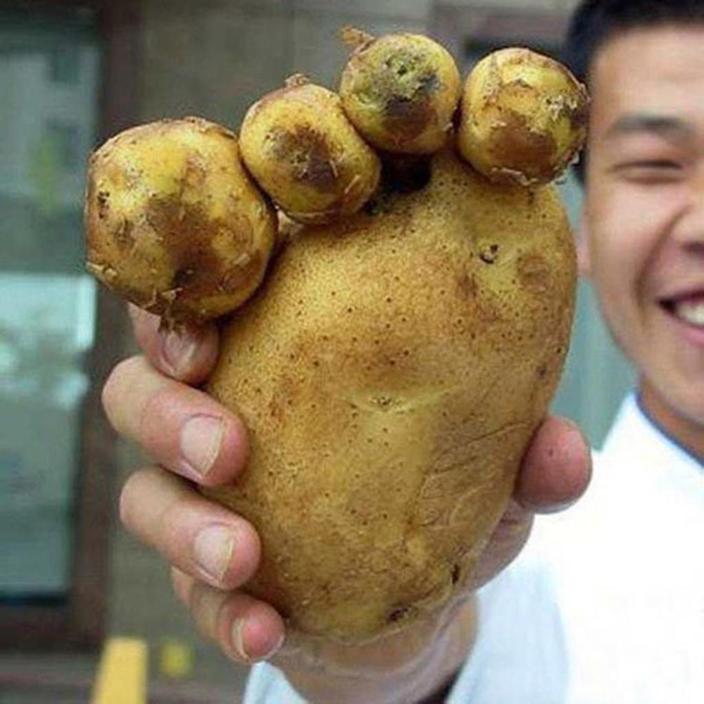 2-dot-bien-co-may-loai-hay-liet-ke-va-neu-ro-nguyen-nhan-cua-moi-dang-do