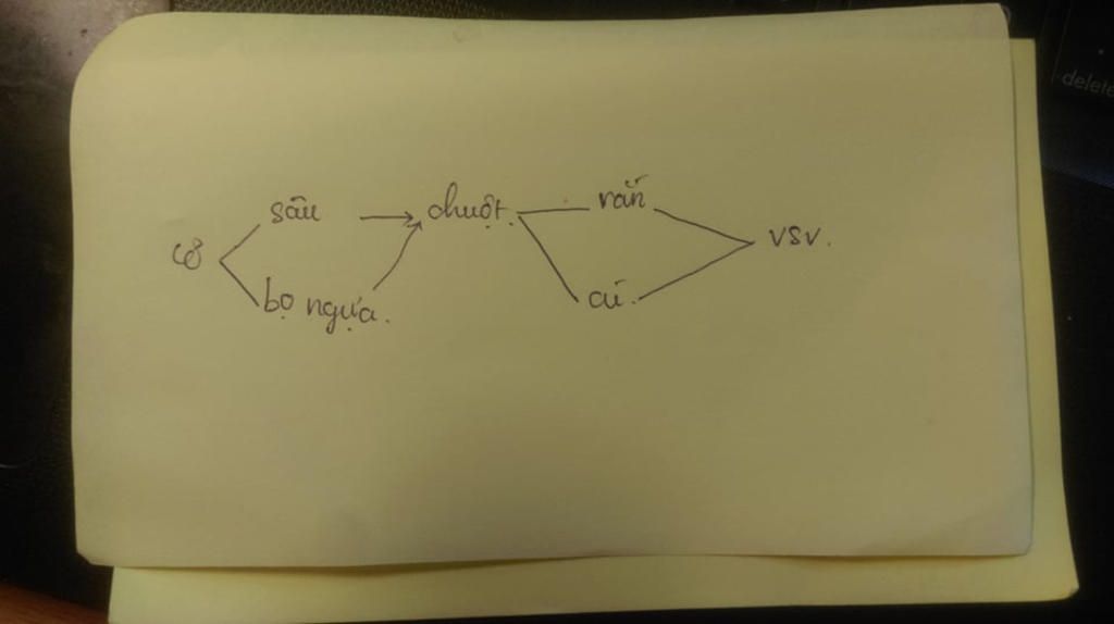 2-mot-he-sinh-thai-dong-co-co-cac-loai-sinh-vat-sau-vi-sinh-vat-de-ga-cao-ho-meo-rung-tho-a-ve-s