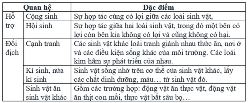 2-phan-biet-duoc-su-khac-nhau-cua-cac-moi-quan-he-khac-loai-3-van-dung-hieu-biet-ve-moi-quan-he