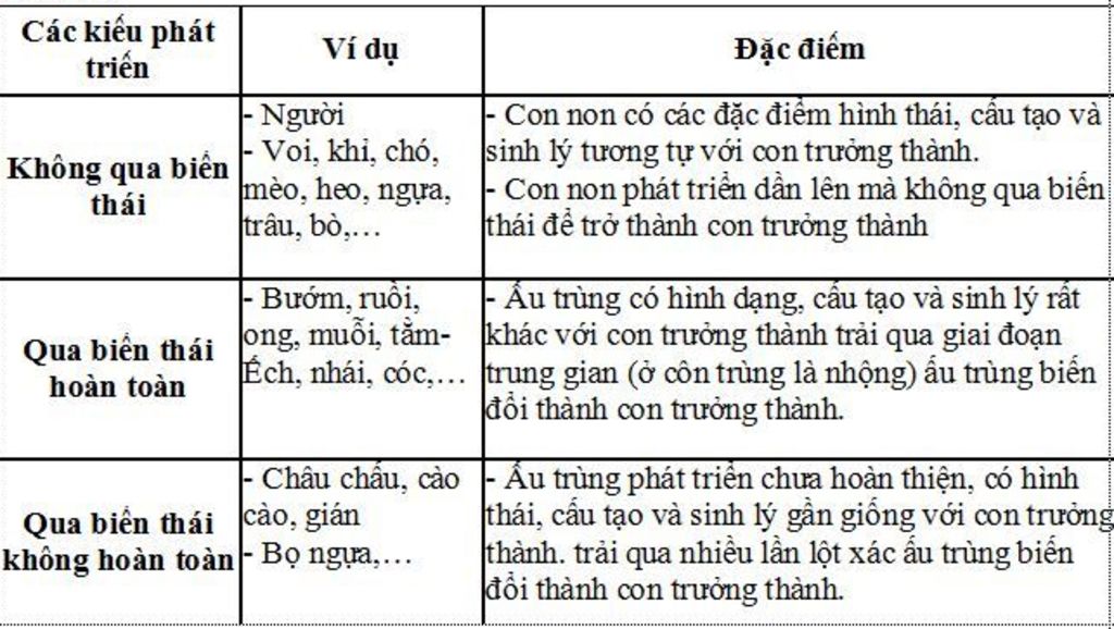 2-phan-biet-phat-trien-qua-bien-thai-va-phat-trien-khong-qua-bien-thai-o-dong-vat