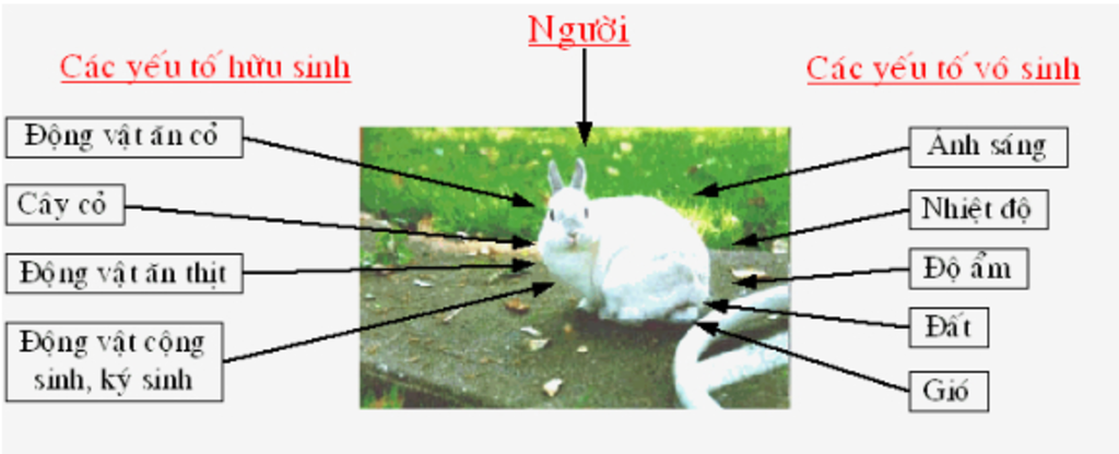 30-diem-nha-mn-minh-chi-con-nhieu-do-thoi-hay-ve-so-do-tu-duy-ve-cac-nhan-to-anh-huon-den-doi-so