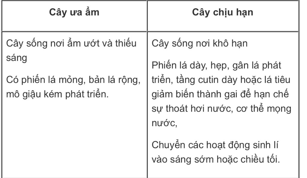 4-hay-so-sanh-dac-diem-khac-nhau-giua-nhom-cay-ua-am-va-chiu-han