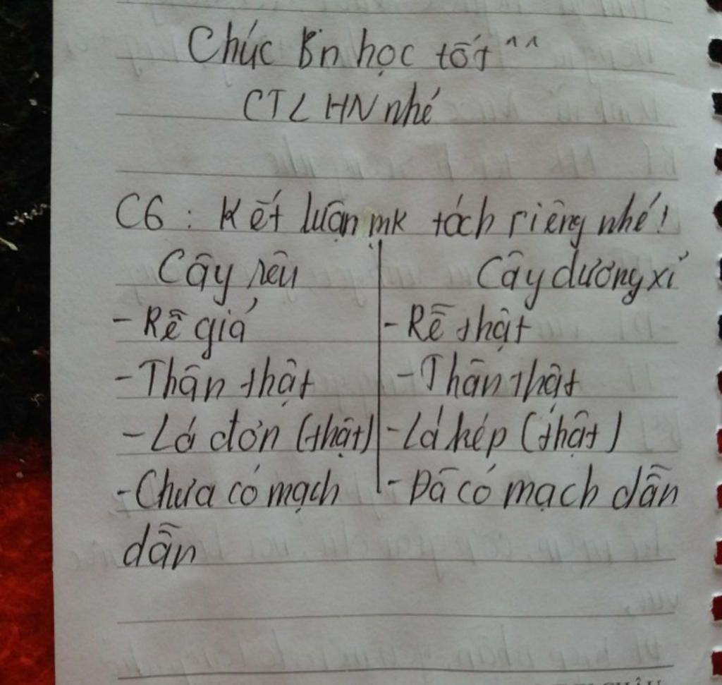 5-cay-co-hoa-co-nhung-loai-co-quan-nao-chung-co-chuc-nang-gi-6-so-sanh-co-quan-siinh-duong-cua-r