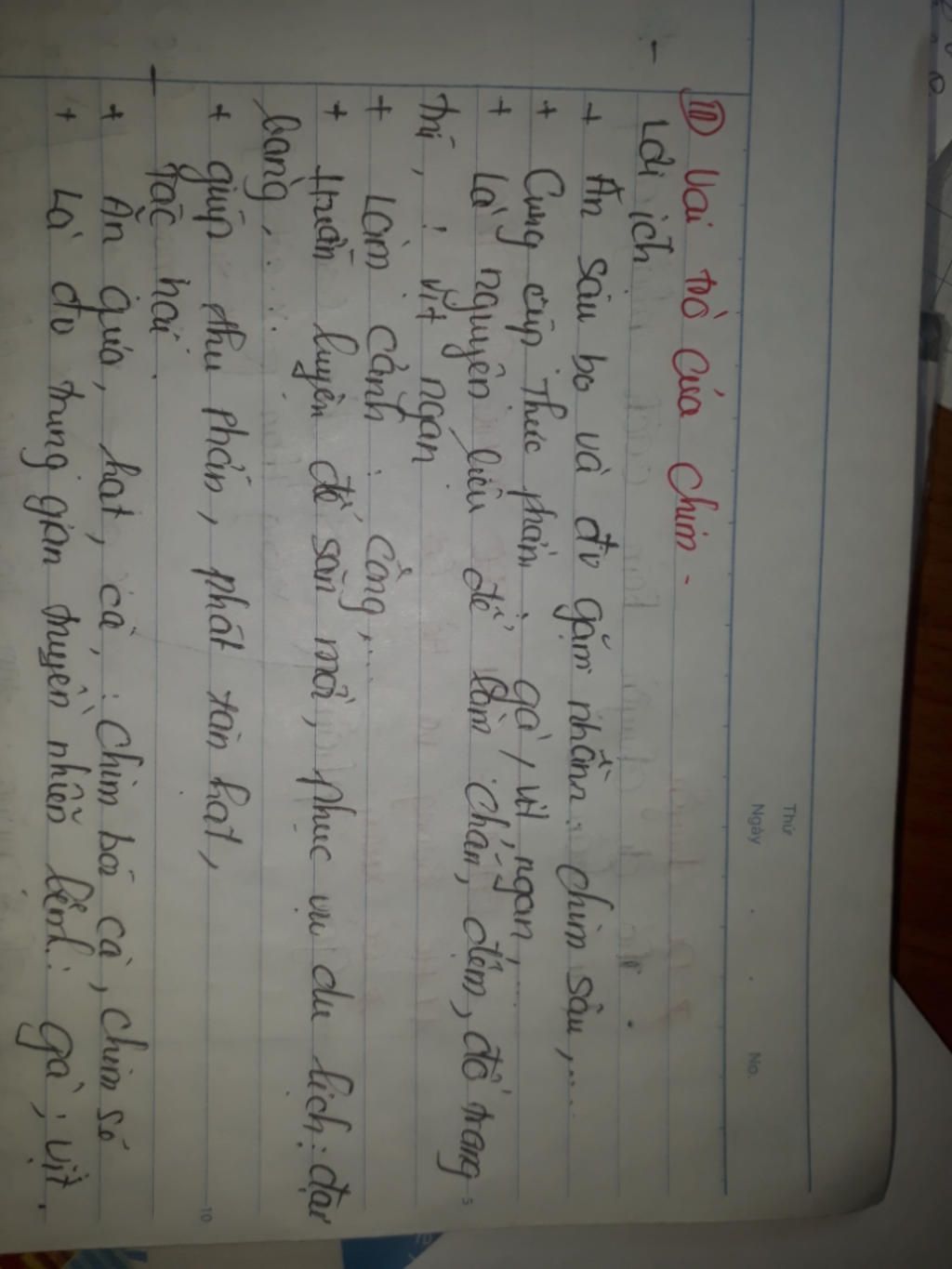 a-cau-tao-ngoai-cua-lop-chim-bo-cau-thich-nghi-voi-doi-song-bay-luon-b-vai-tro-cua-lop-chim-lop