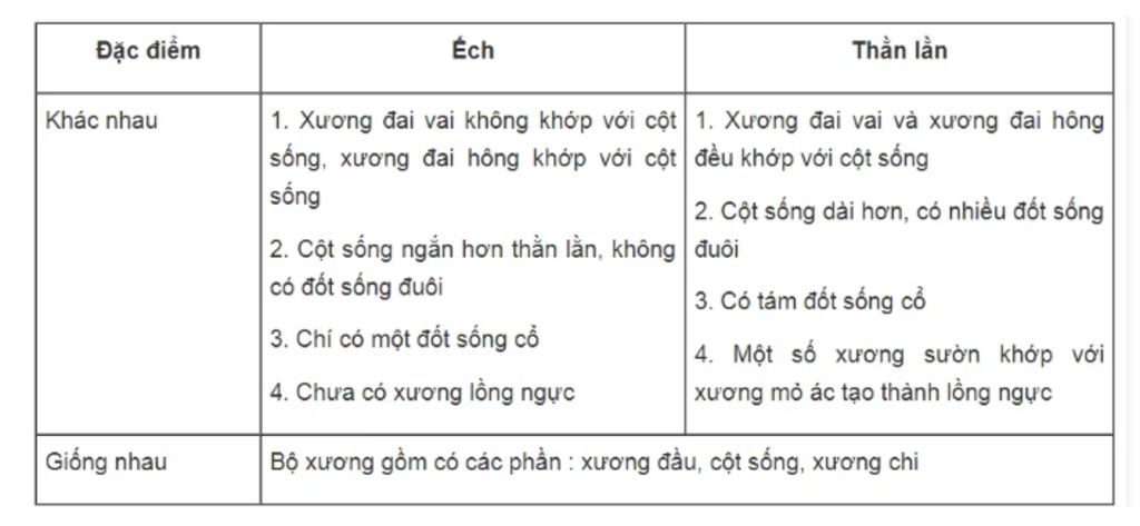 a-hay-chung-minh-cau-tao-co-the-cua-than-lan-bong-hoan-chinh-hon-ech-dong-b-lap-bang-so-sanh-bo