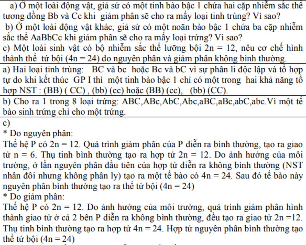 a-o-1-loai-dong-vat-gia-su-co-1-tinh-bao-bac-1-chua-2-cap-nst-tuong-dong-bb-va-cc-khi-giam-phan