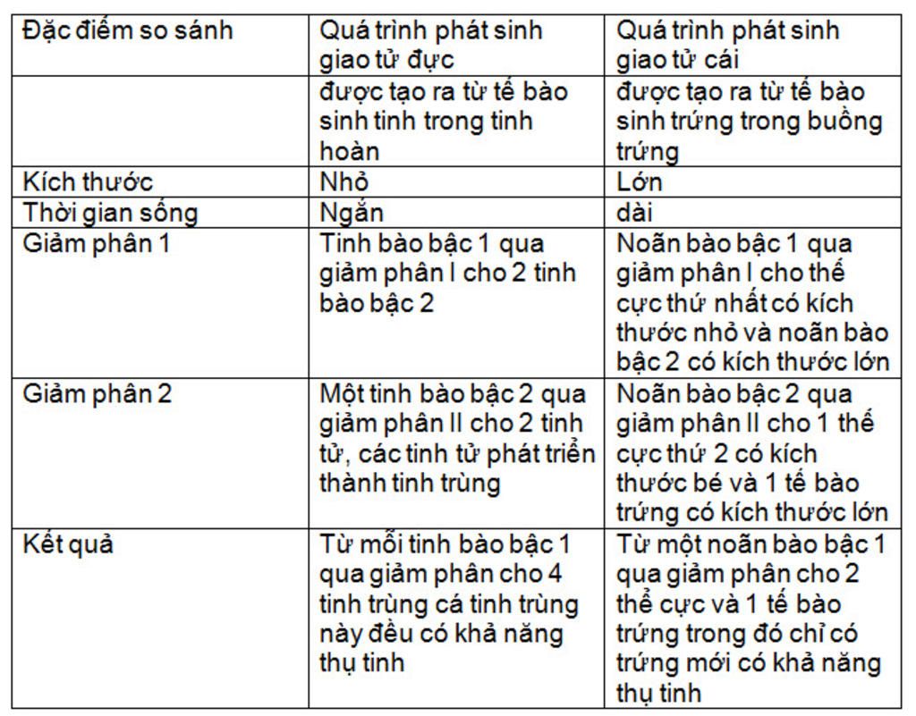 a-trinh-bay-su-giong-nhau-va-khac-nhau-giua-qua-trinh-phat-sinh-giao-tu-duc-va-giao-tu-cai-b-tri