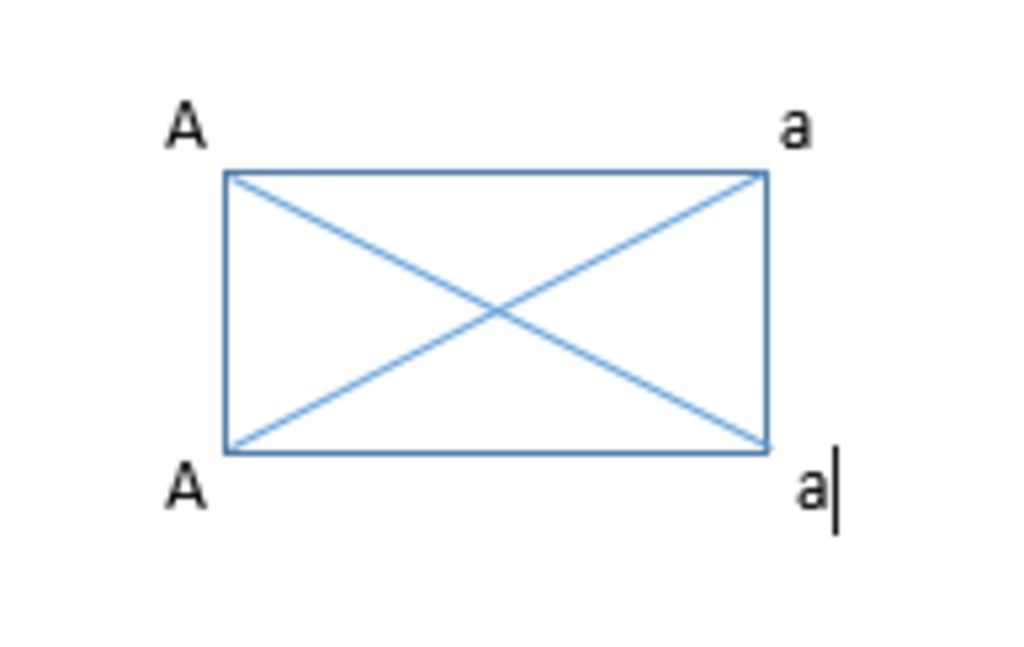 aaaa-giam-phan-sao-lai-tao-ra-1-6aa-4-6aa-1-6aa-vay-a