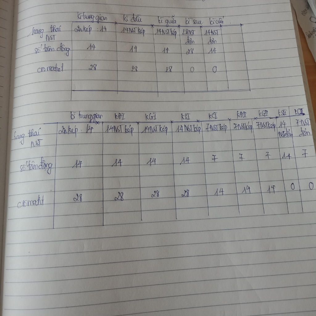 ac-dinh-so-luong-trang-thai-cromatit-tam-dong-trong-cac-ky-np-gp-cua-te-bao-2n-14-ke-bang-ra-cho