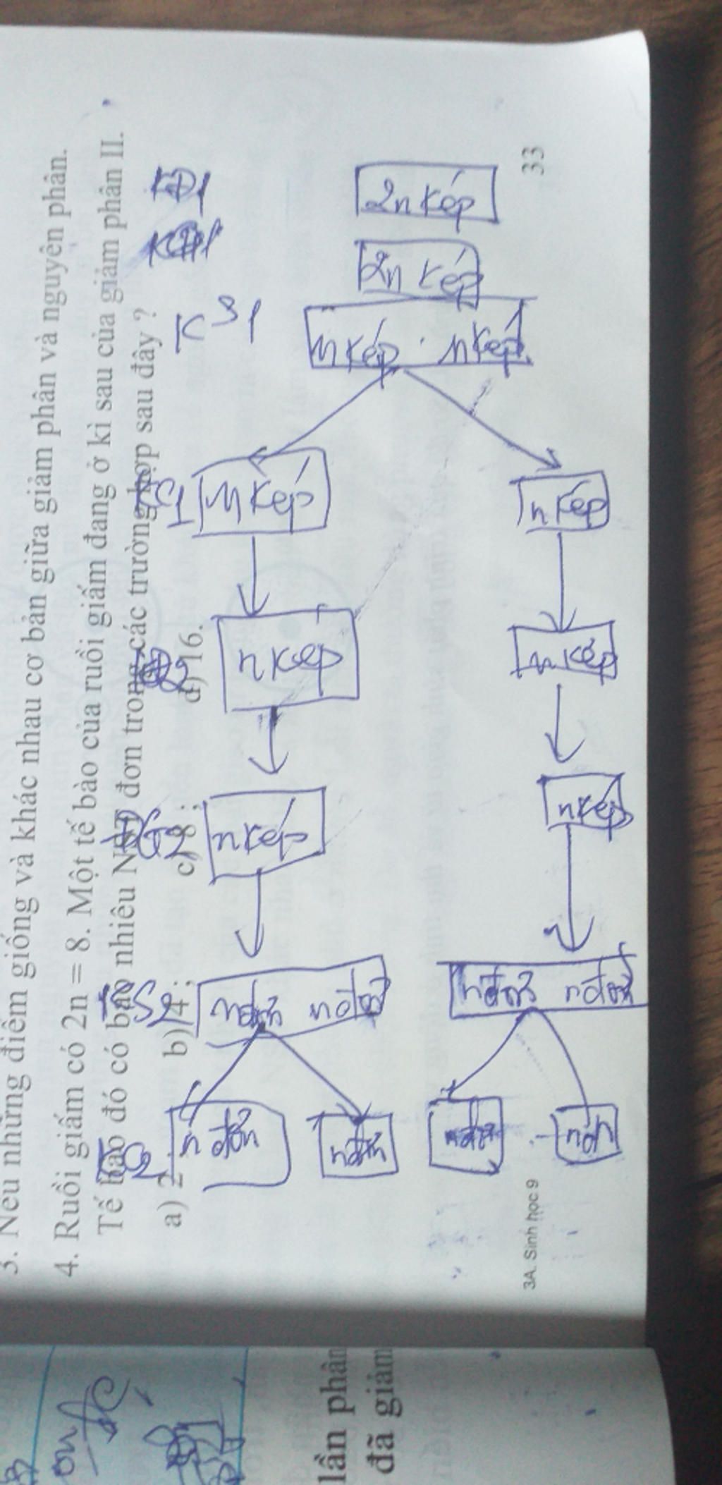 ac-dinh-so-nst-o-cac-ki-cua-giam-phan-giup-minh-voi