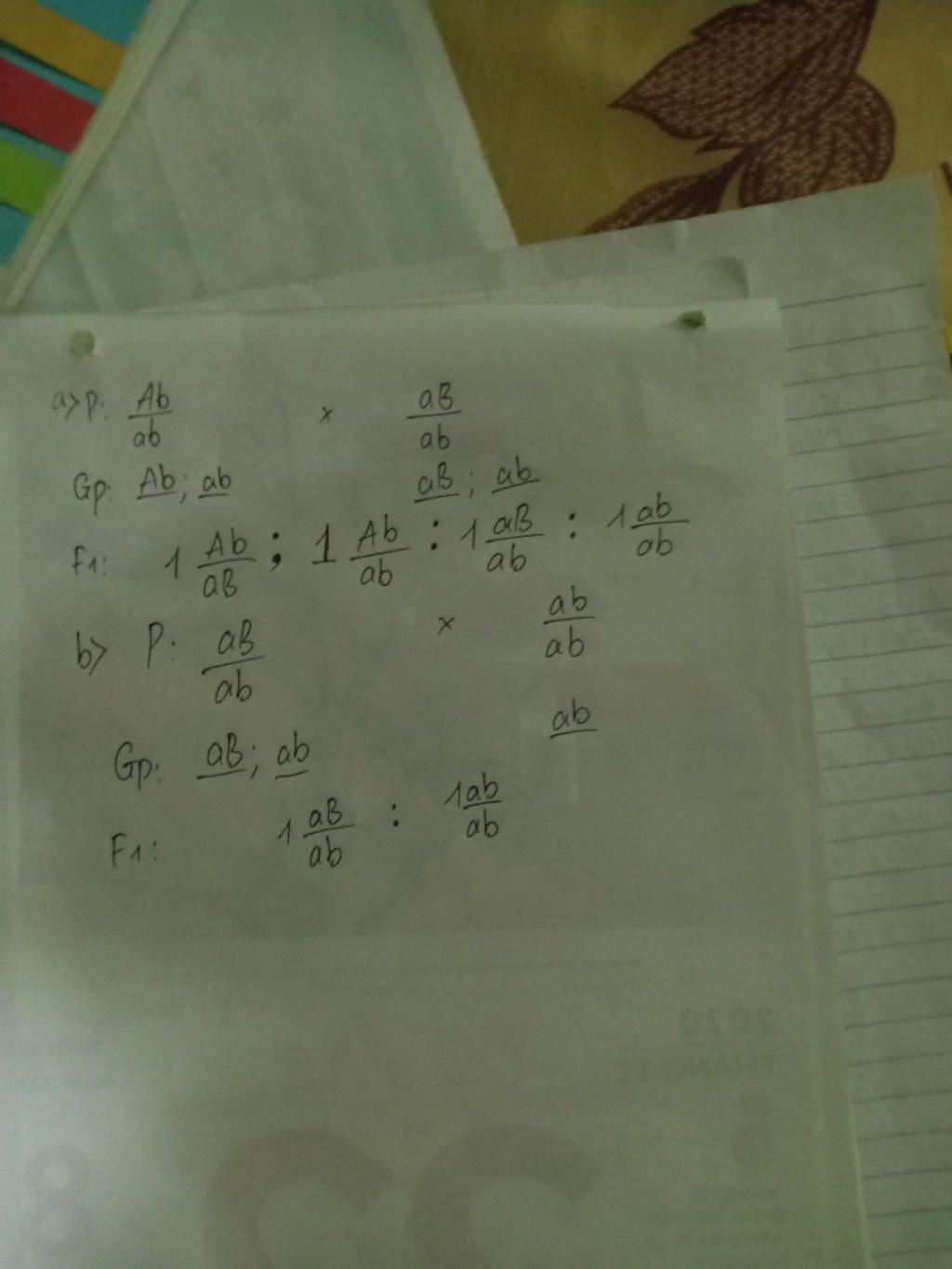 ac-dinh-ti-le-phan-ly-kieu-hinh-trong-cac-phep-lai-sau-troi-hoan-toan-a-ab-ab-ab-ab-b-ab-ab-ab-a
