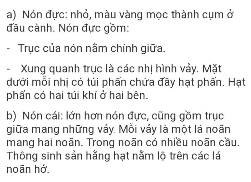 ac-dinh-vi-tri-non-duc-non-cai-tren-canh-va-cho-biet-dac-diem-nhan-biet-chung