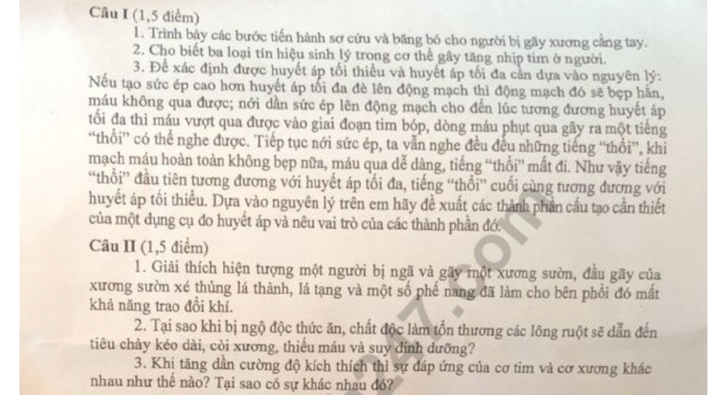 ai-co-cau-hoi-sinh-8-kho-ma-khong-co-dap-an-khong-cho-mk-in-it-p-s-noi-la-it-nhung-cang-nhieu-ca