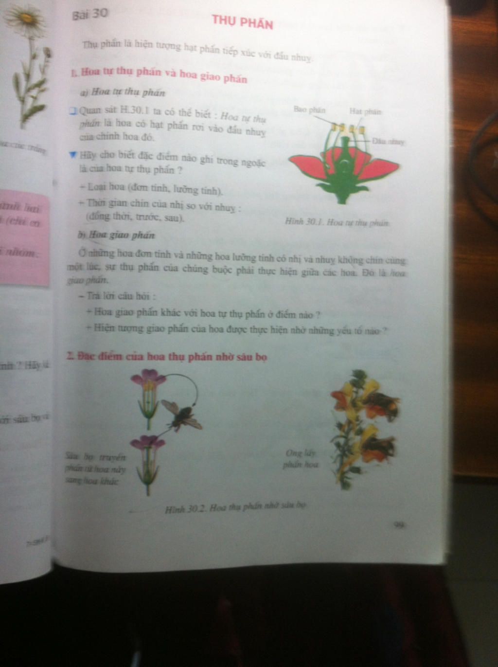 ai-hoc-bai-thu-phan-hoac-thu-phan-tiep-theo-chup-roi-gui-lai-cho-minh-voi-chup-gui-minh-nhe-gui