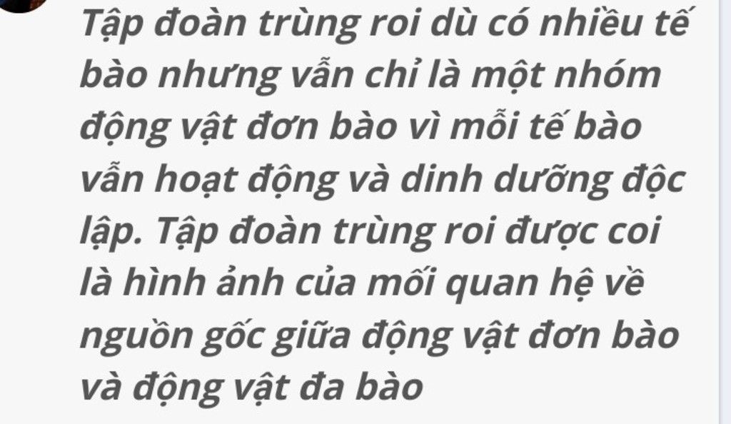 anh-chi-tra-loi-giup-em-cau-hoi-nay-dc-ko-a-tap-doan-du-co-nhieu-nhung-van-chi-la-mot-nhom-dong