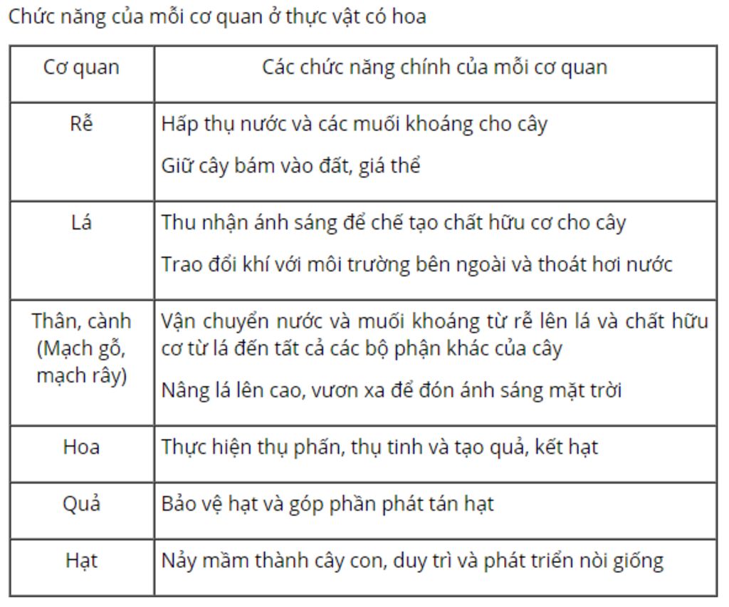 bai-1-trang-117-sgk-sinh-hoc-6-cay-co-hoa-co-nhung-loai-co-quan-nao-chung-co-chuc-nang-gi-bai-2