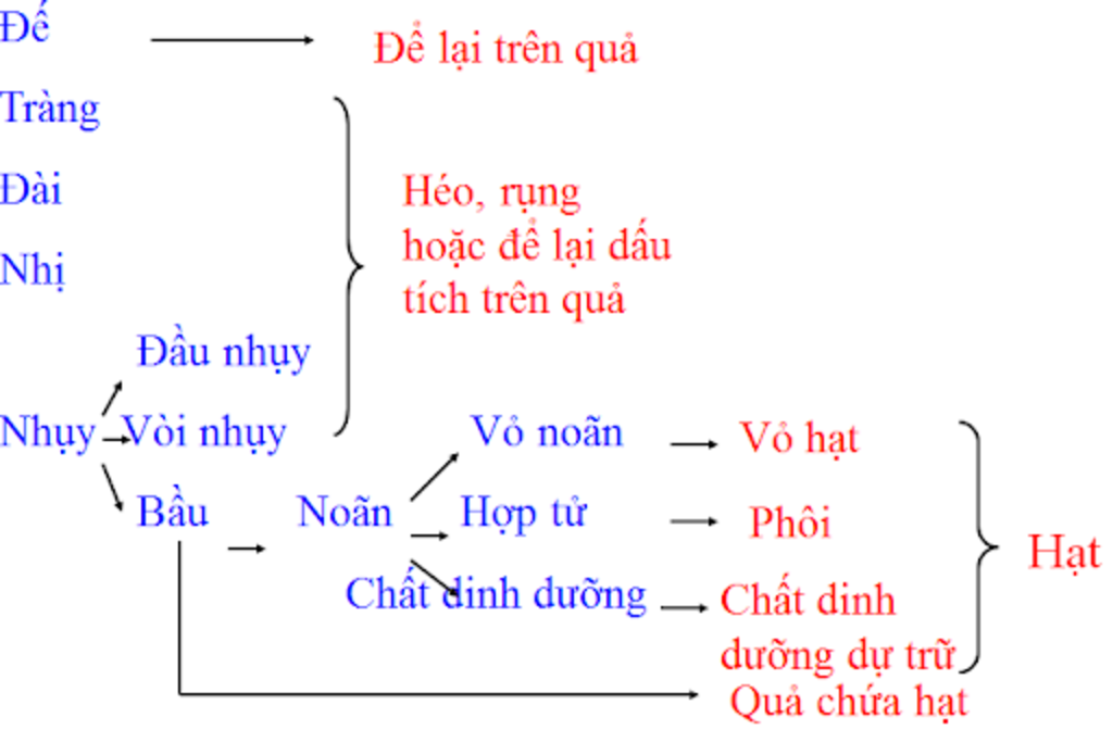 bai-31thu-tinh-ket-hat-tao-qua-ve-so-do-tu-duy