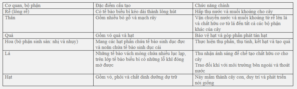 bai-36-tong-ket-ve-cay-co-hoa-cau-hoi-1-neu-dac-diem-cau-tao-phu-hop-voi-chuc-nang-cua-chung-nhu