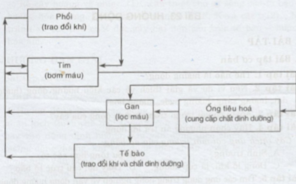 bai-tap-6-on-tap-chuong-1-sach-11-nang-cao