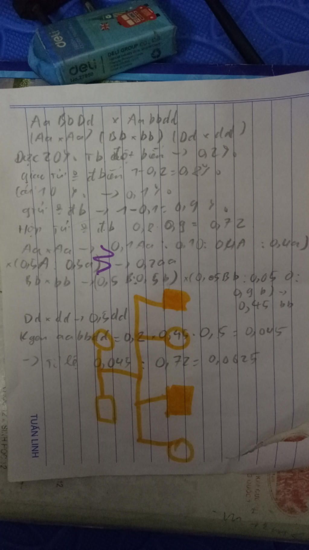 bai-tap-doi-tuyen-mong-cac-chuyen-gia-giup-a-bai-1-o-phep-lai-p-duc-aabbdd-cai-aabbdd-trong-giam