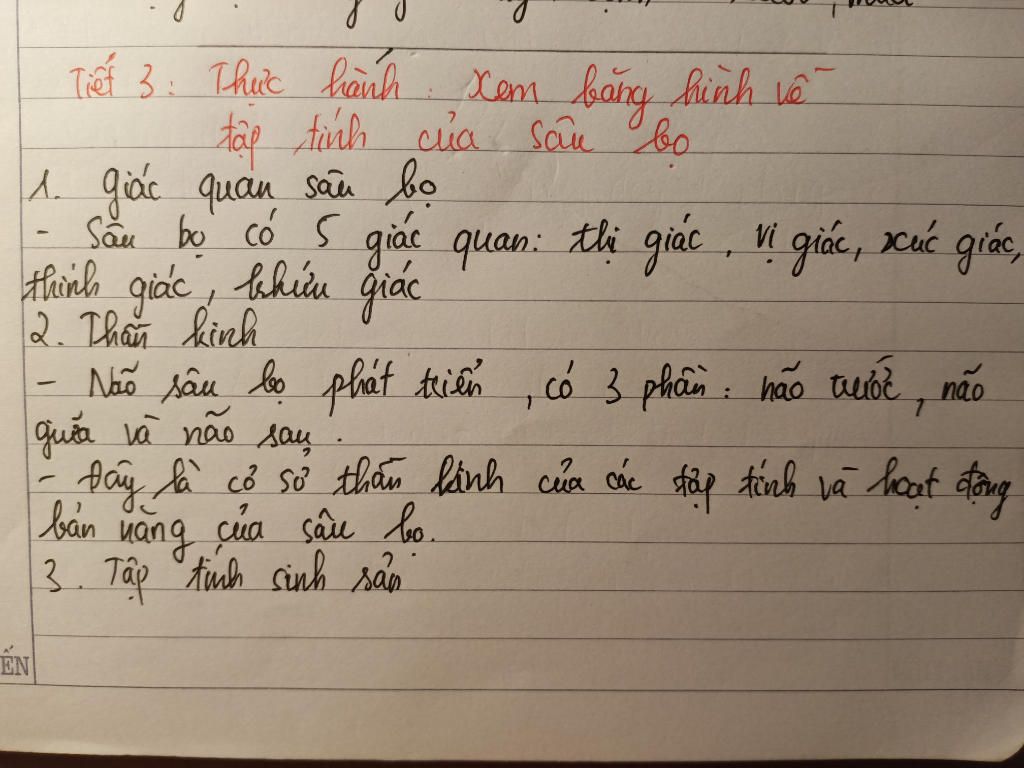 bai-thuc-hanh-em-bang-hinh-ve-tap-tinh-cua-sau-bo-co-giao-cac-ban-cho-ghi-the-nao-vay-chup-cho-m