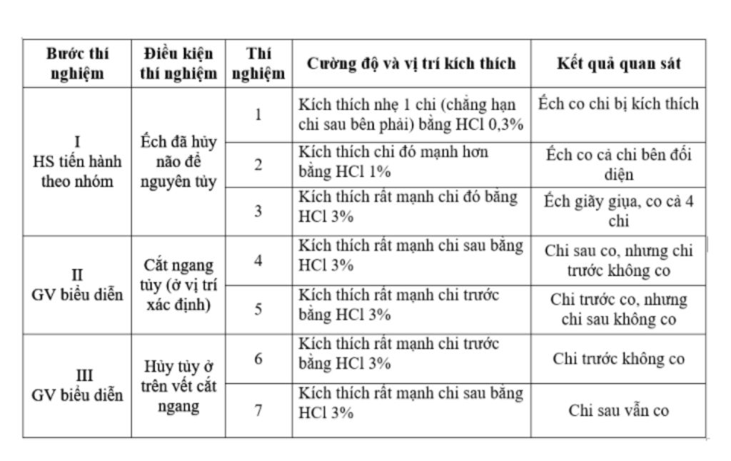 bai-thuc-hanh-tim-hieu-chuc-nang-lien-quan-den-cau-tao-cua-tuy-song-giai-thich-ket-qua-thi-nhiem