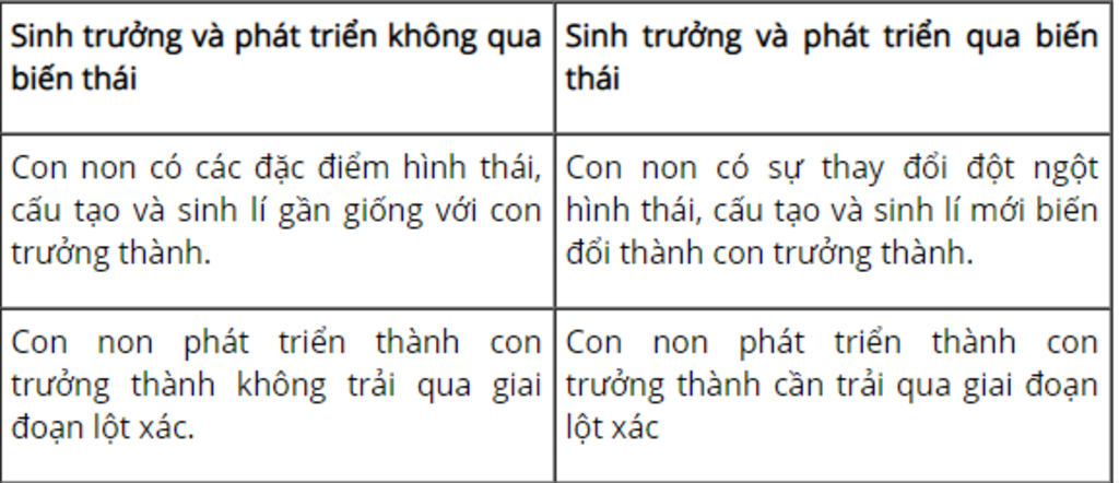 bang-phan-tich-cac-giai-doan-pua-bien-thai-va-ko-qua-bien-thai-cua-bai-37-sinh-hoc-11