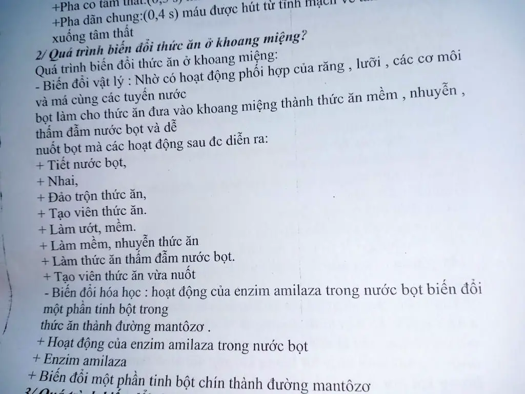 bien-doi-thuc-an-o-khoang-mieng-da-day-ruot-non-vai-tro-cua-tieu-hoa