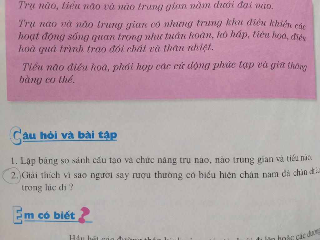 bo-phan-nao-cua-nao-bo-co-chuc-nang-phoi-hop-cac-cu-dong-phuc-tap-va-giu-can-bang-cho-suc-khoe-b