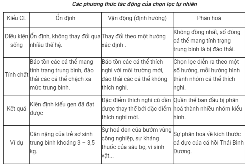 cac-ban-giup-minh-voi-vai-tro-cua-kieu-gen-va-moi-truong-doi-voi-cac-loai-tinh-trang