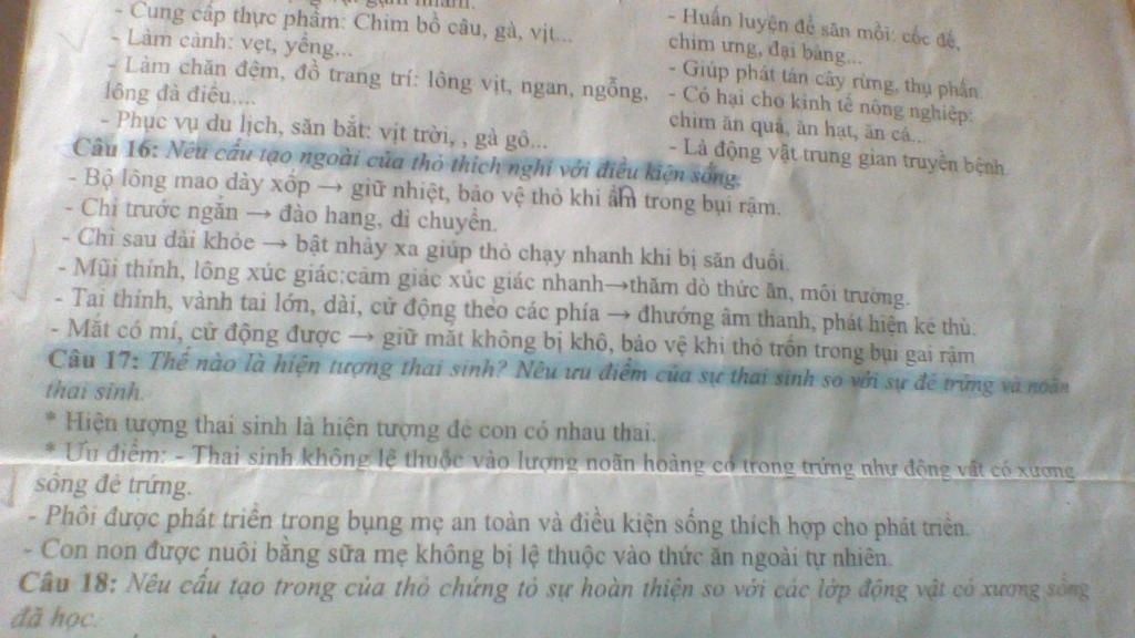 cac-ban-oi-giai-giup-minh-nhe-bai-hay-neu-cau-tao-cua-tho-thich-nghi-voi-dieu-kien-song