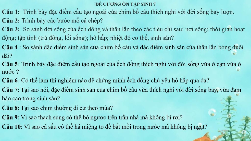 cac-kien-thuc-cau-hoi-sinh-7-thi-giua-ky-2-in-giup-minh-voi-mai-thi-rui