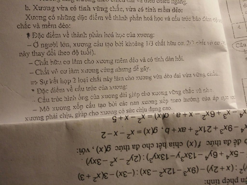 cac-yeu-to-anh-huong-toi-cau-truc-va-hoat-dong-cua-uong-cau-truc-va-hinh-thai-cua-uong