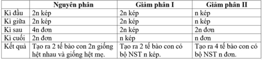 cach-tinh-so-te-bao-so-nhiem-sac-the-o-cac-ki-cua-nguyen-phan-giam-phan