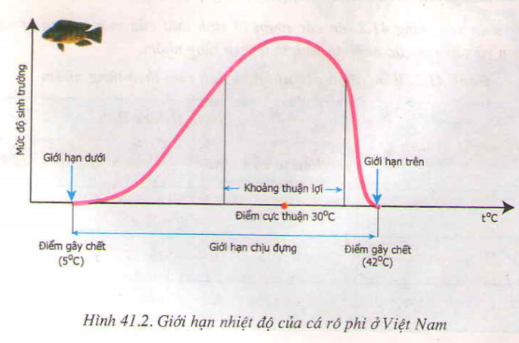 cach-ve-so-do-mo-ta-gioi-han-sinh-tha-va-neu-kha-nang-phan-bo-moi-loai