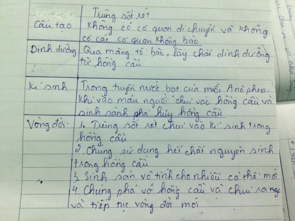 can-gap-team-mai-thi-ma-gio-moi-on-dac-diem-cua-trung-sot-ret-cau-tao-vong-doi-ki-sinh